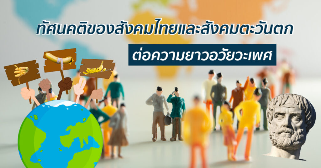 ทัศนคติต่อความยาวอวัยวะเพศ