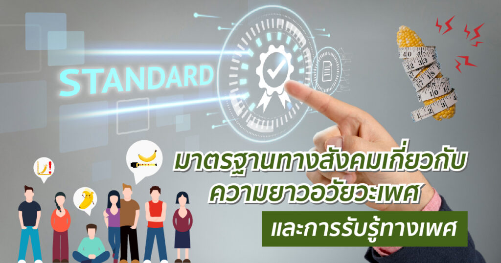 มาตรฐานความยาวอวัยวะเพศ