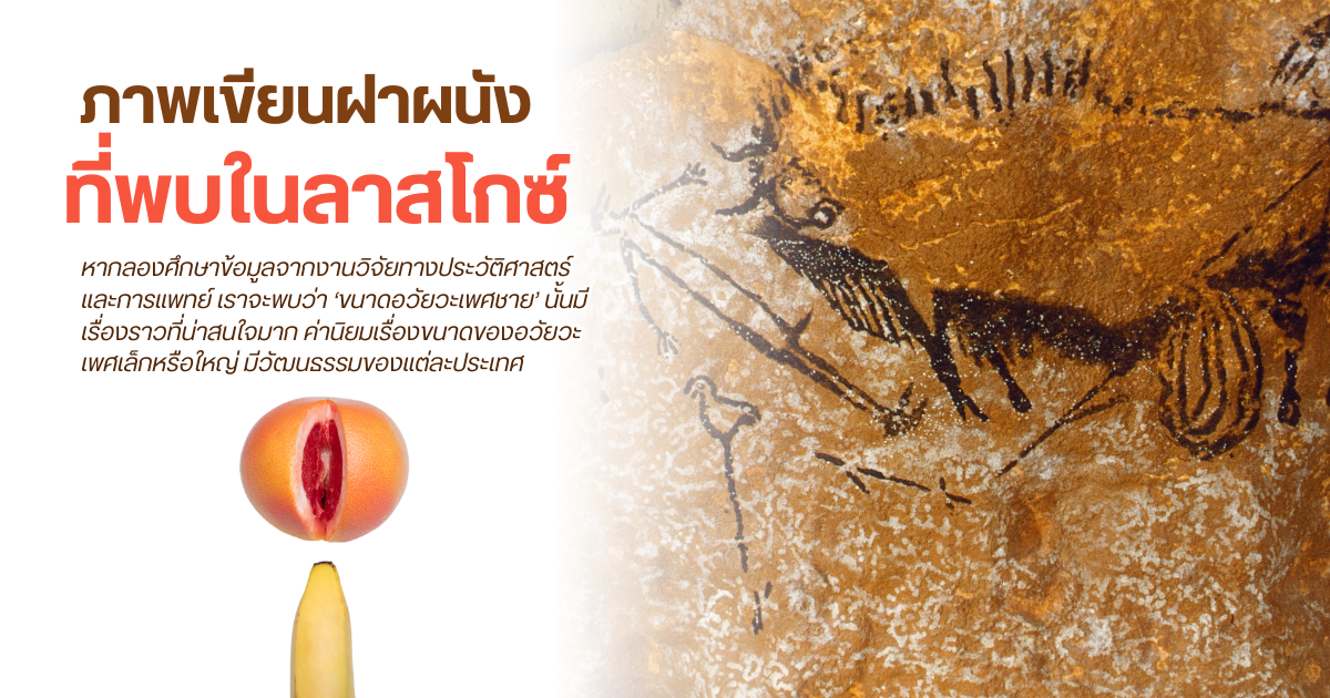 ภาพเขียนฝาผนังที่พบในลาสโกซ์