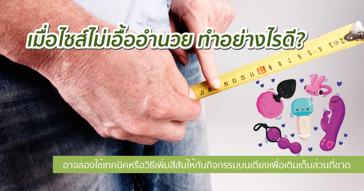 อวัยวะเพศสั้น