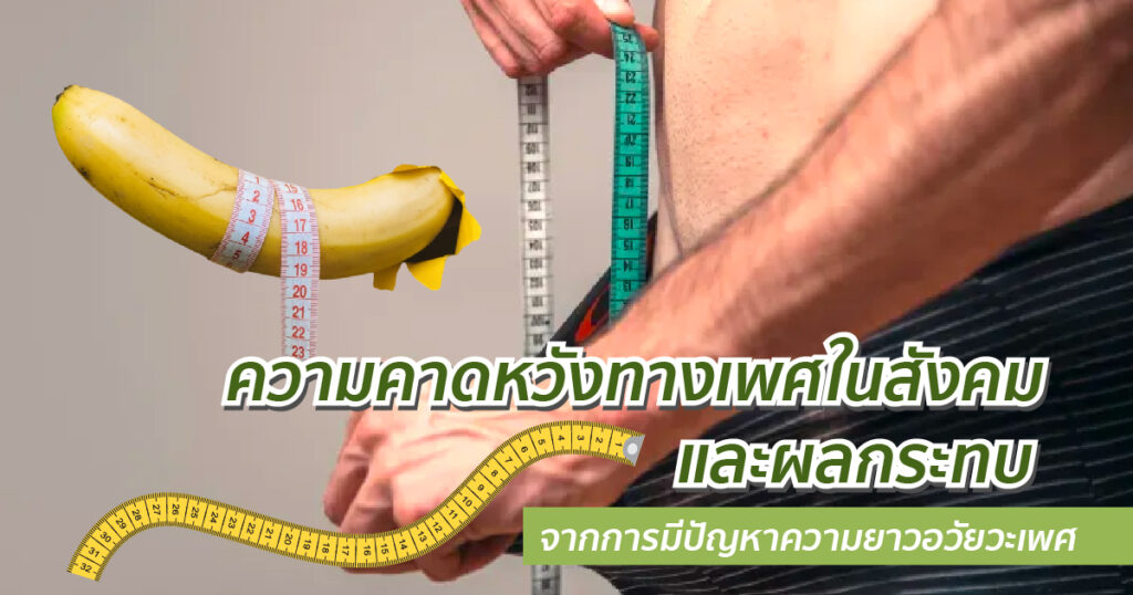 ความยาวอวัยวะเพศ