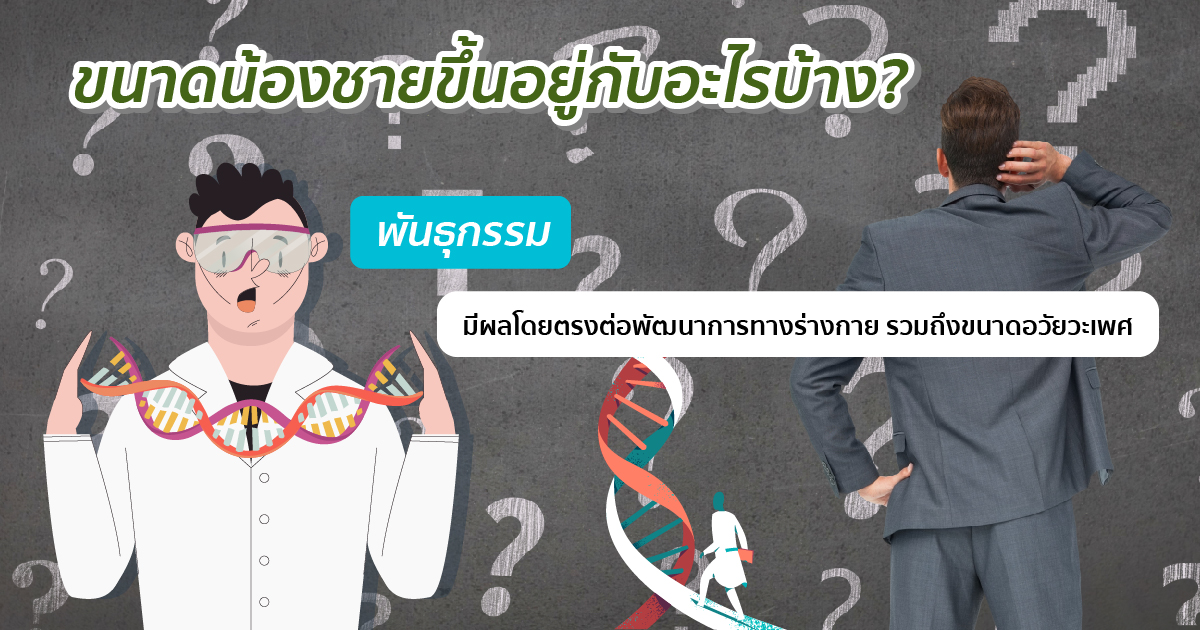 ขนาดขึ้นอยู่กับอะไร