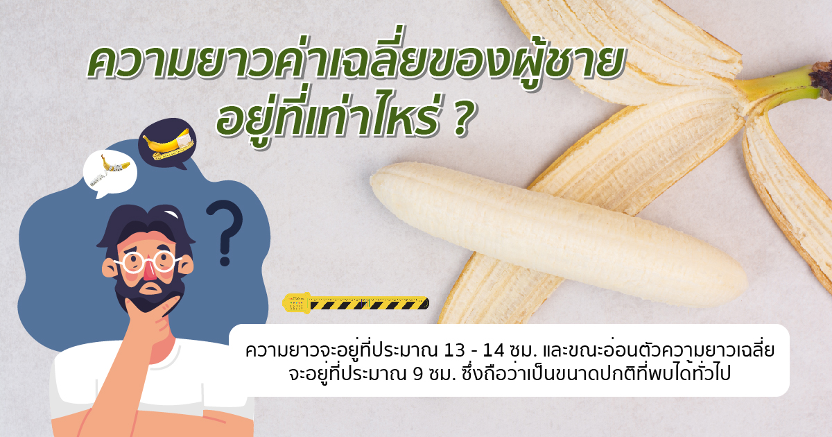 ความยาวปกติ