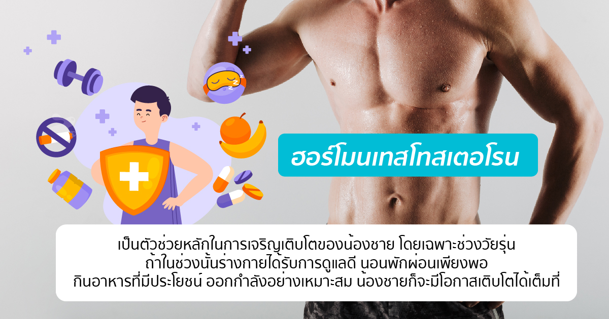 ขนาดและฮอร์โมน
